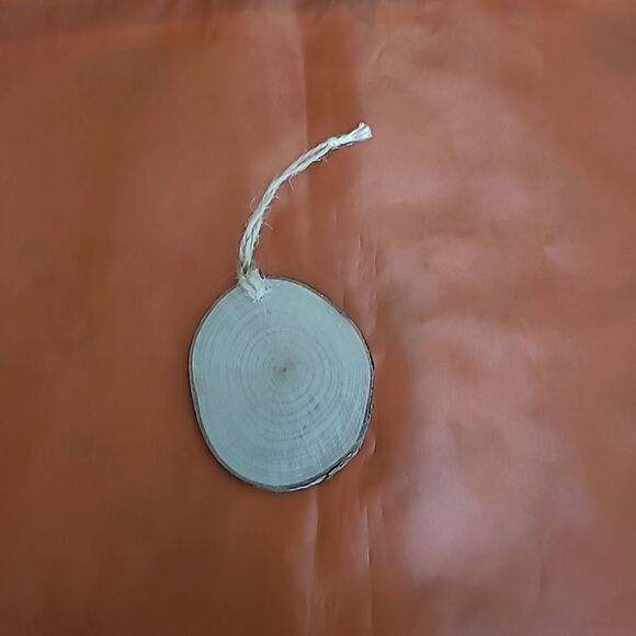 Texas Ornament  - Picture 2 of 2